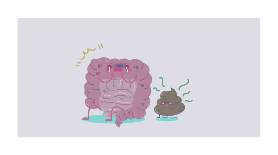 Poop to Pills Is FMT the Future of Veterinary Medicine by EOS Intelligence